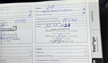 Fiat Ducato 115 Camper Ausbau voll