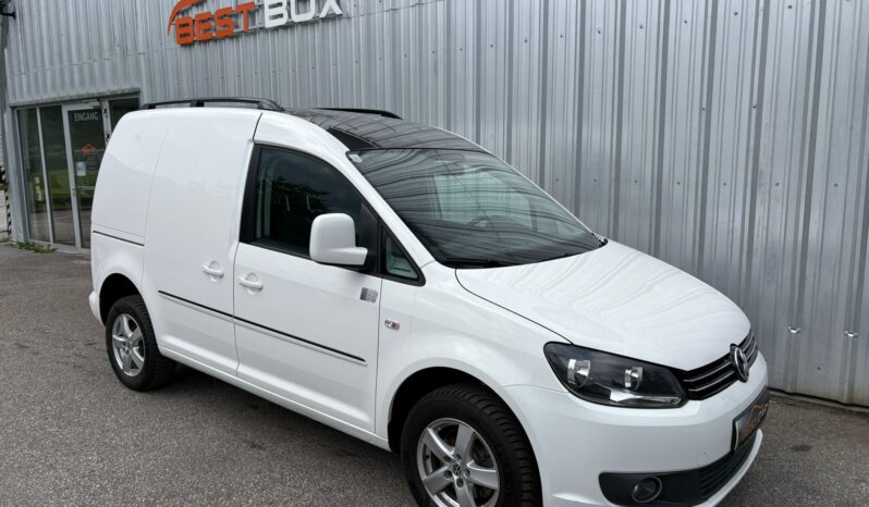 VW Caddy Kastenwagen Edition 30 2,0 TDI 4MOTION voll