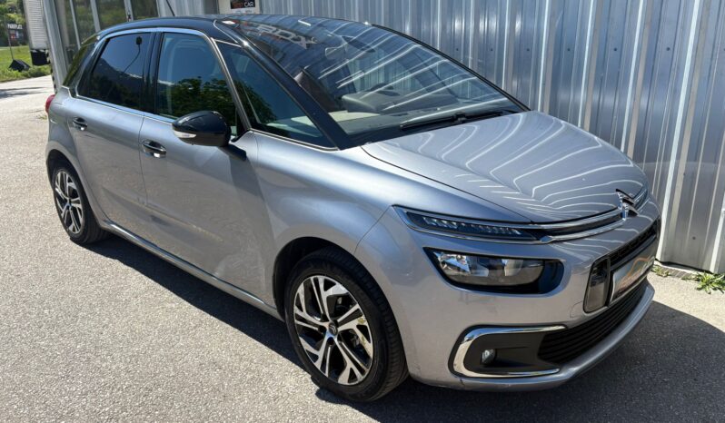 Citroen C4 Picasso Rip Curl voll