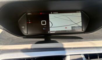 Citroen C4 Picasso Rip Curl voll