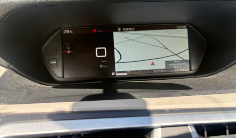 Citroen C4 Picasso Rip Curl voll