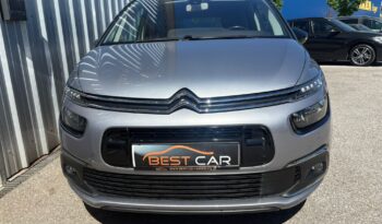 Citroen C4 Picasso Rip Curl voll