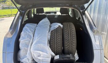 Citroen C4 Picasso Rip Curl voll