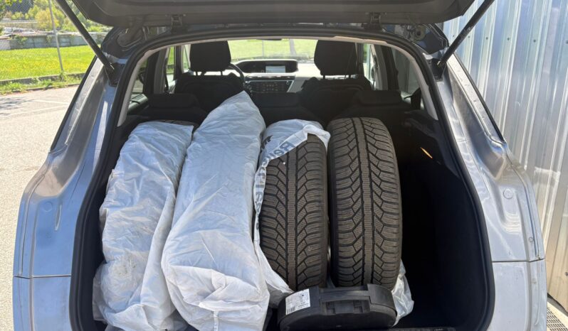 Citroen C4 Picasso Rip Curl voll