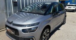 Citroen C4 Picasso Rip Curl